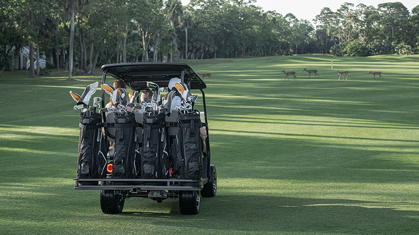 E-Z-GO Liberty Golf Cart