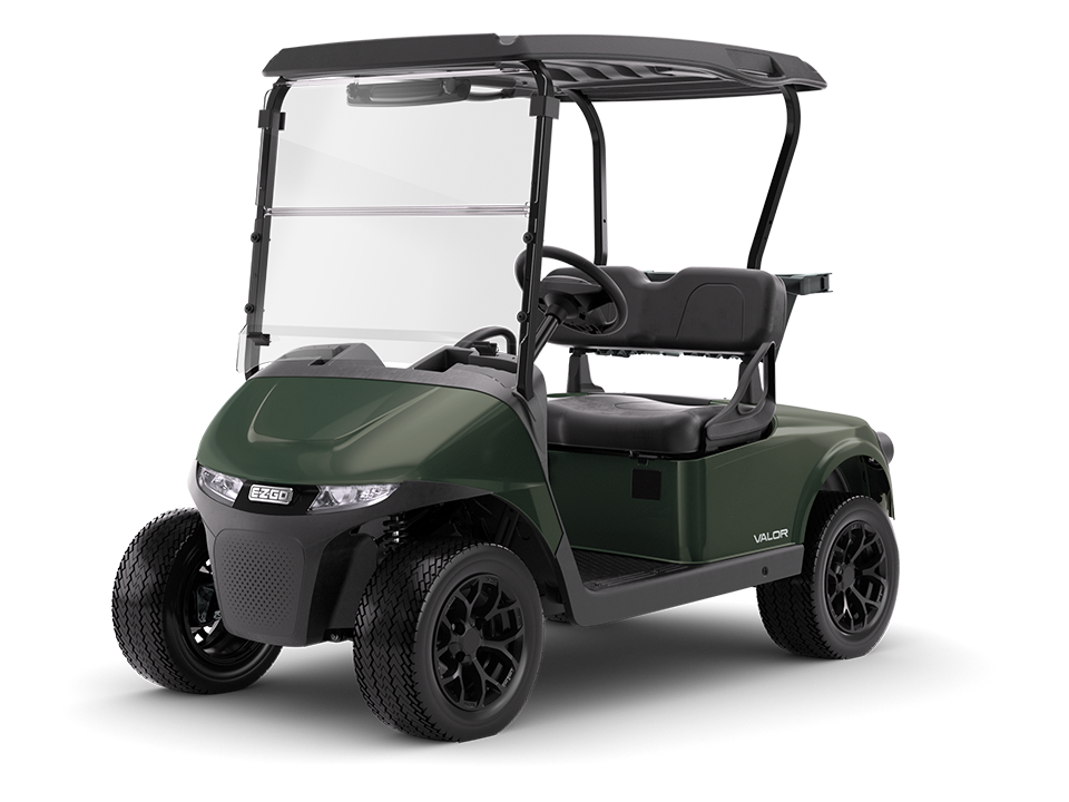 RXV 2 Valor S electric of gas 2 passenger golf cart