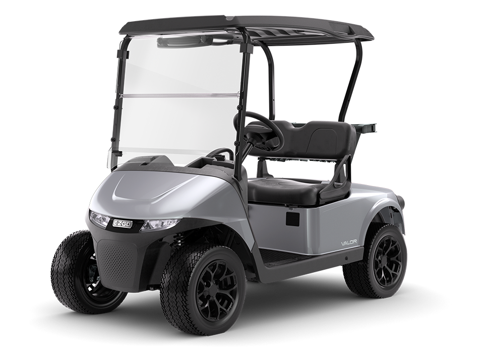 RXV 2 Valor S electric of gas 2 passenger golf cart
