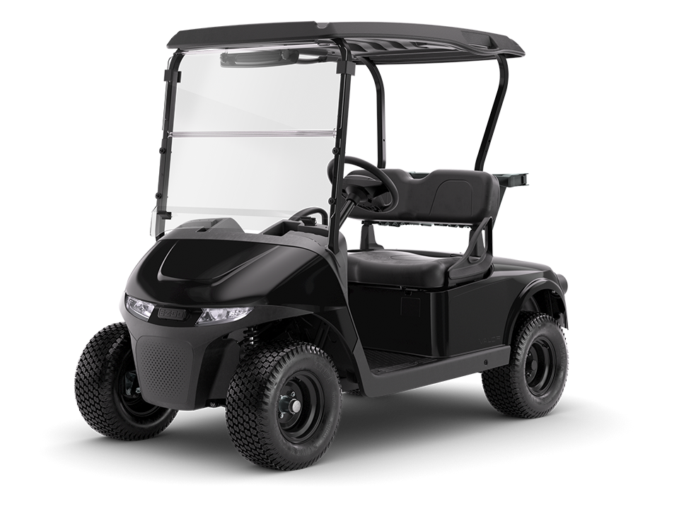 RXV 2 Valor S electric of gas 2 passenger golf cart