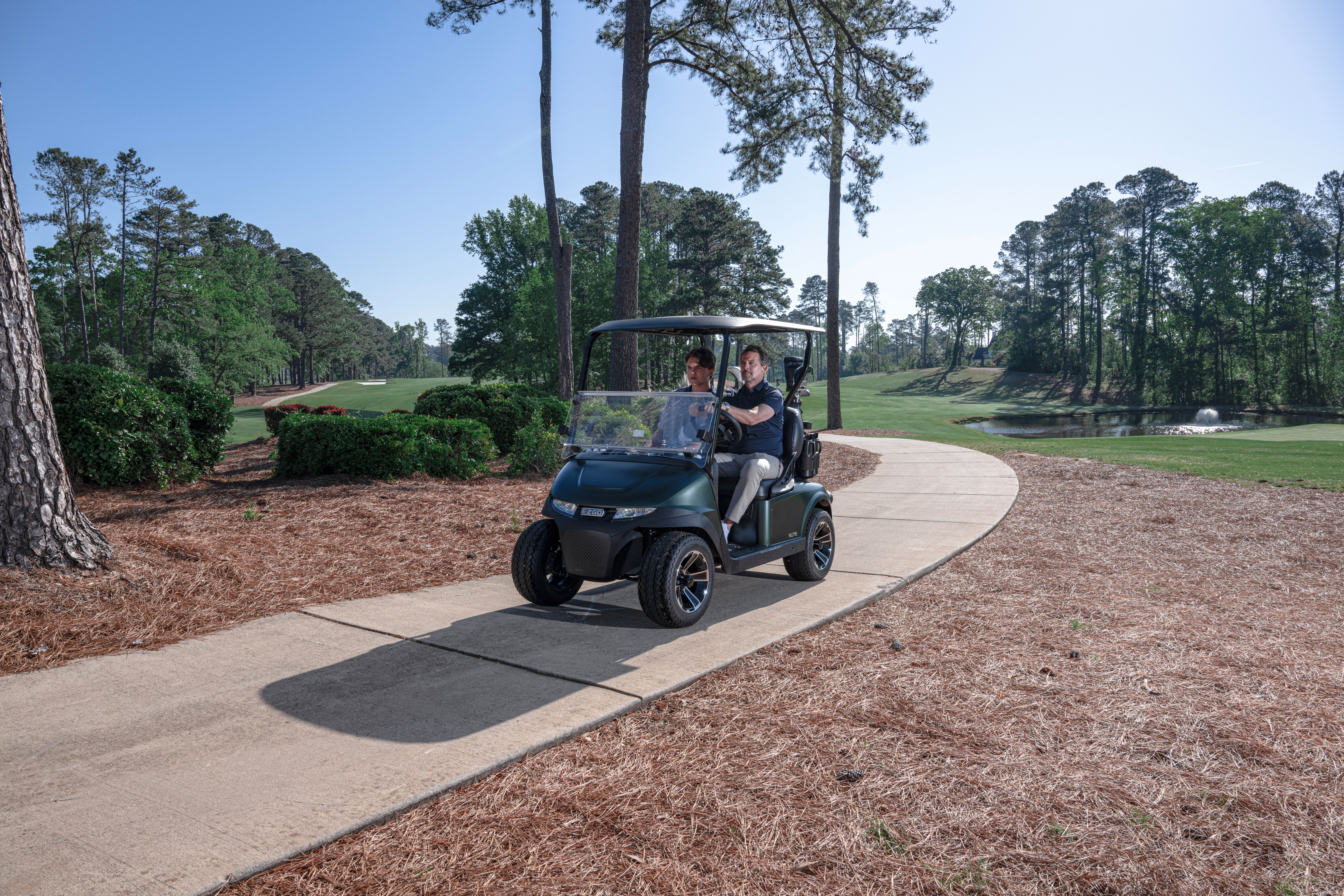 E-Z-GO RXV 2 electric, led acid, or gas powertrain