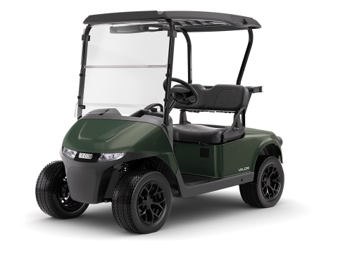 RXV 2 Valor S electric of gas 2 passenger golf cart